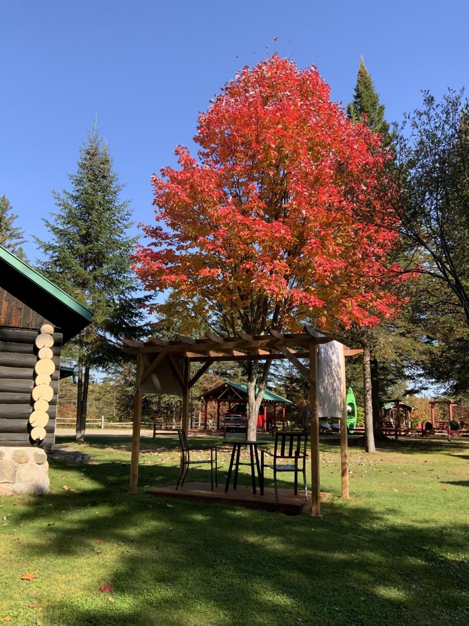 Domaine Le Bostonnais - Le Village En Bois Rond 라 튀크 객실 사진